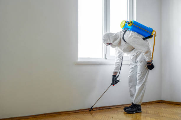 Best Affordable Exterminators  in Butner, NC